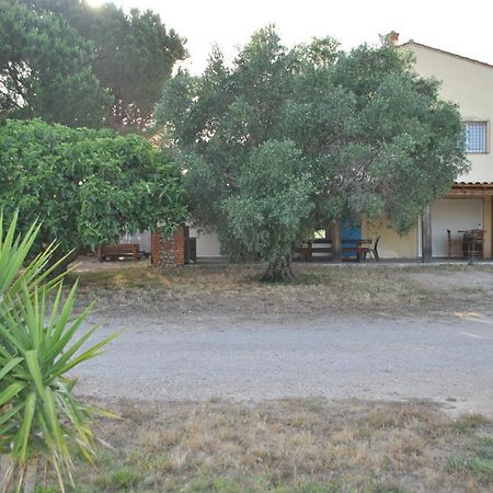 Mas De La Vignassa Villa Le Soler Kültér fotó