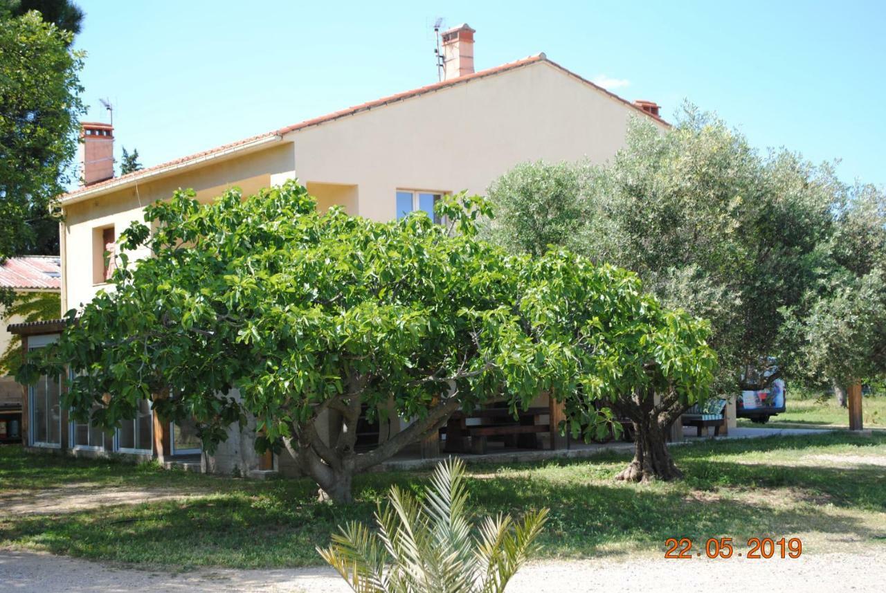 Mas De La Vignassa Villa Le Soler Kültér fotó